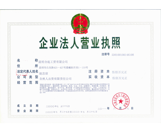 企业法人营业执照